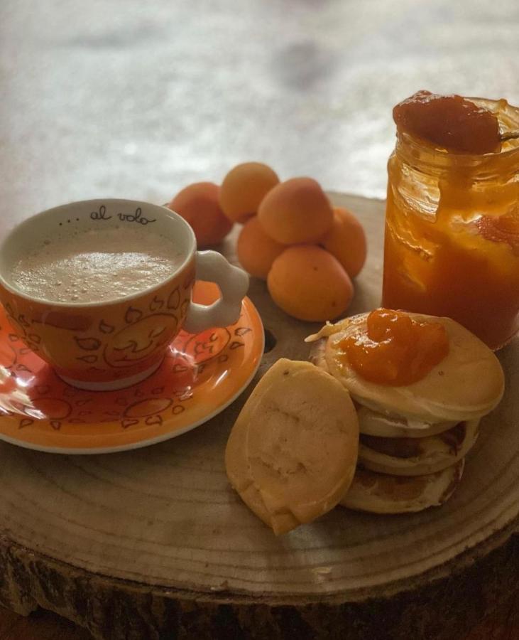 Il Casale Di Punta Prosciutto Bed and Breakfast Εξωτερικό φωτογραφία